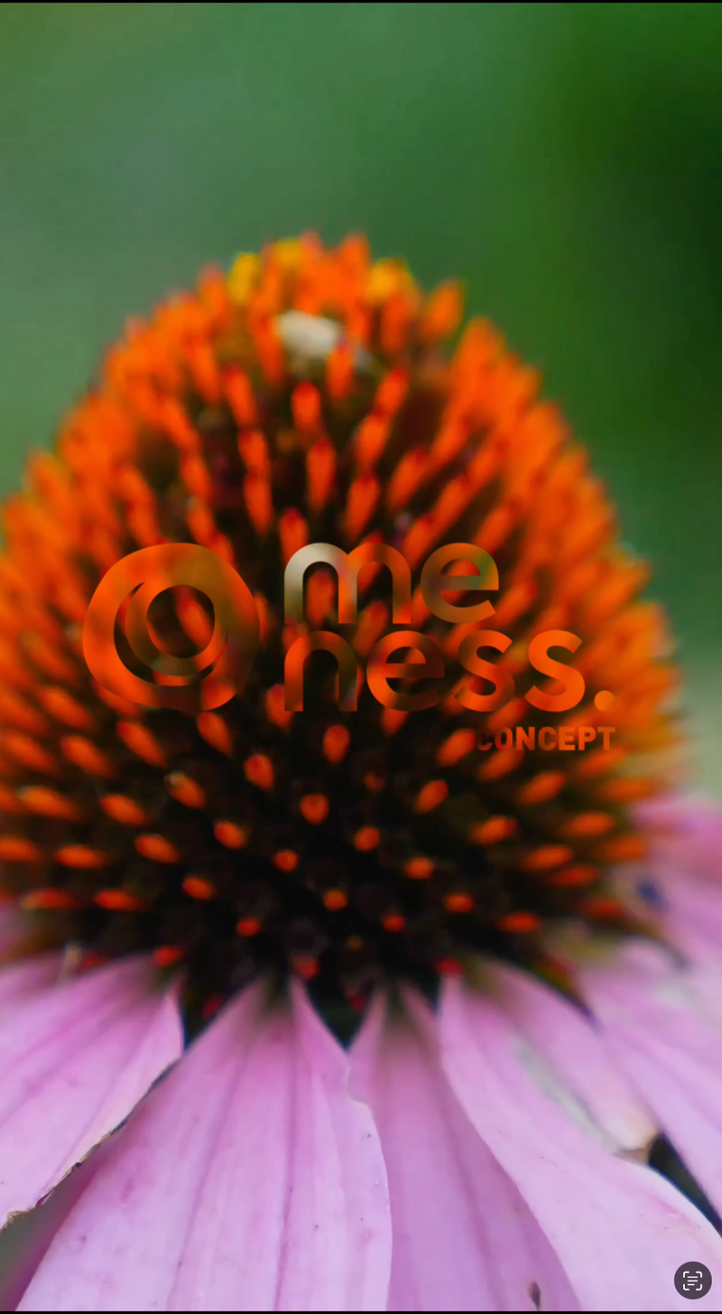 Meness Concept