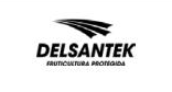 Delsantek